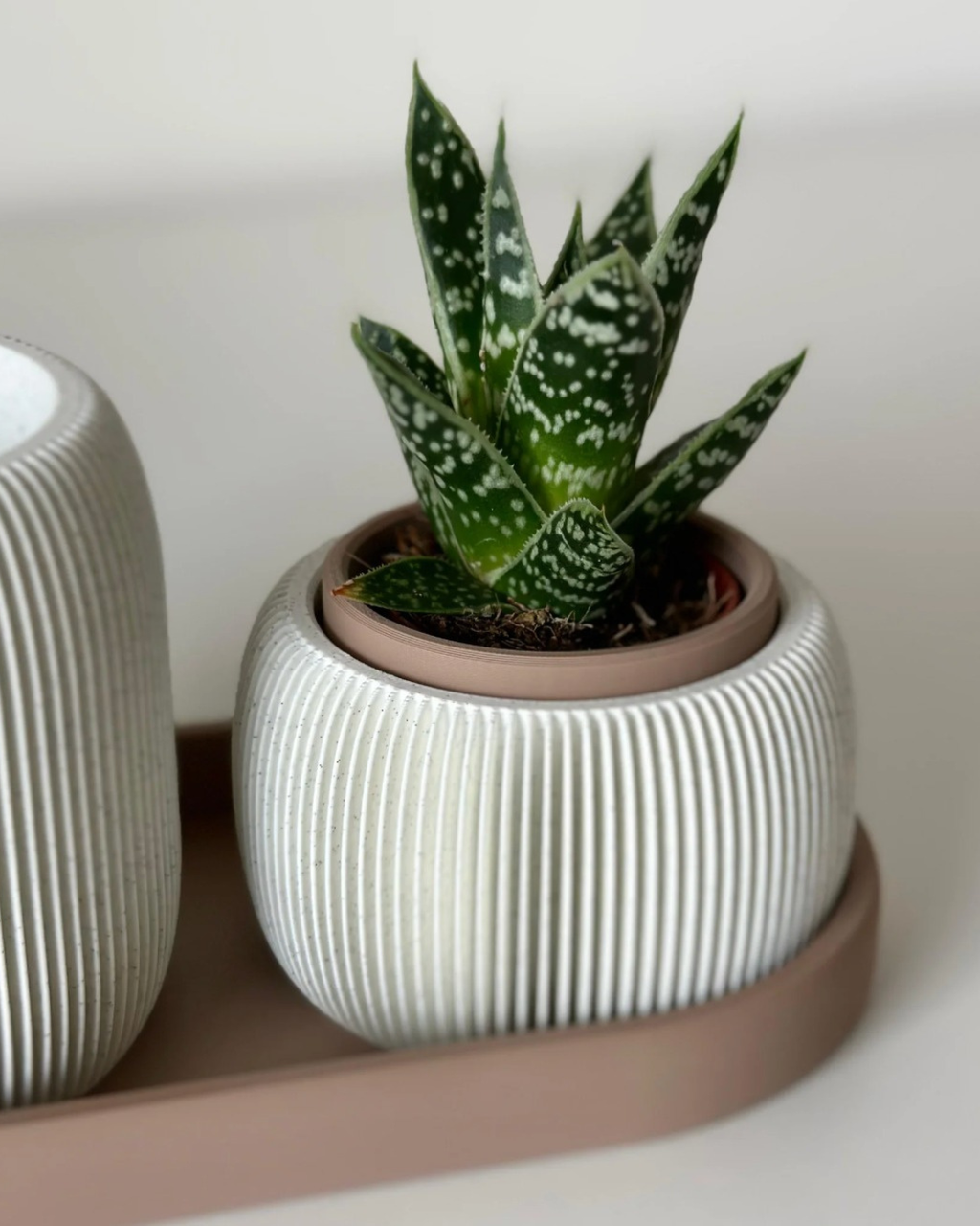 Desk Duo: Planter and Pen Holder