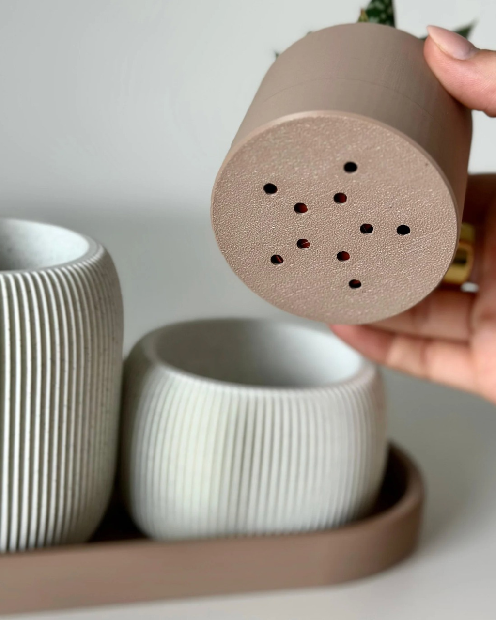 Desk Duo: Planter and Pen Holder