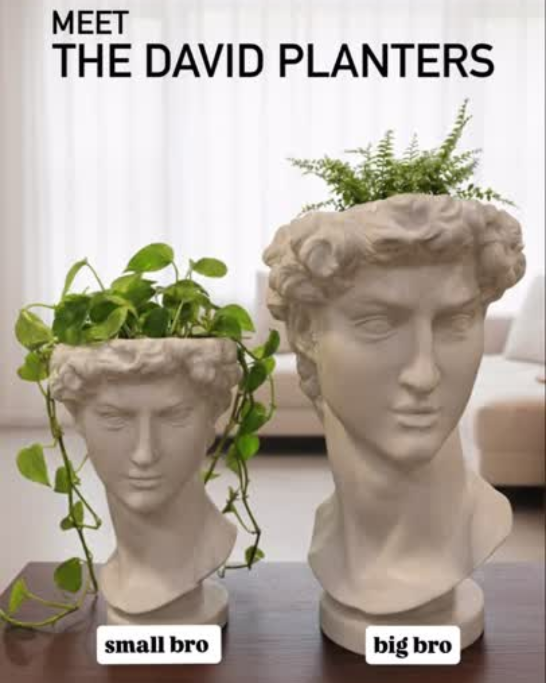 Elevate your space with this David planter, a sculptural face planter inspired by classical art. Perfect for plants, desks, and aesthetic home decor setups.